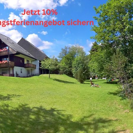 Naturidyll Am Fluss - Ferienhaus Albmatte - Grosser Garten Zum Grillen Und Entspannen-Direkt Neben Dem Radon Revitalbad Mit Sauna Und Thermalbecken St. Blasien Buitenkant foto