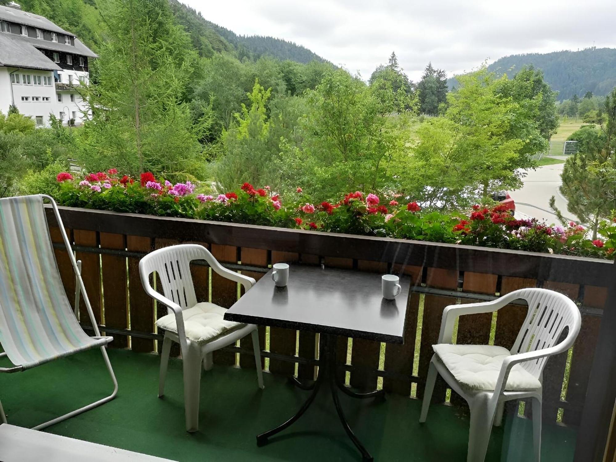 Naturidyll Am Fluss - Ferienhaus Albmatte - Grosser Garten Zum Grillen Und Entspannen-Direkt Neben Dem Radon Revitalbad Mit Sauna Und Thermalbecken St. Blasien Buitenkant foto
