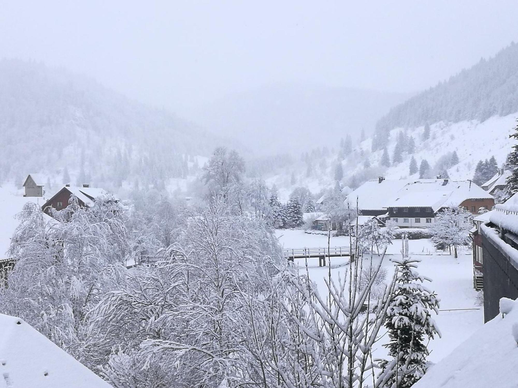 Naturidyll Am Fluss - Ferienhaus Albmatte - Grosser Garten Zum Grillen Und Entspannen-Direkt Neben Dem Radon Revitalbad Mit Sauna Und Thermalbecken St. Blasien Buitenkant foto