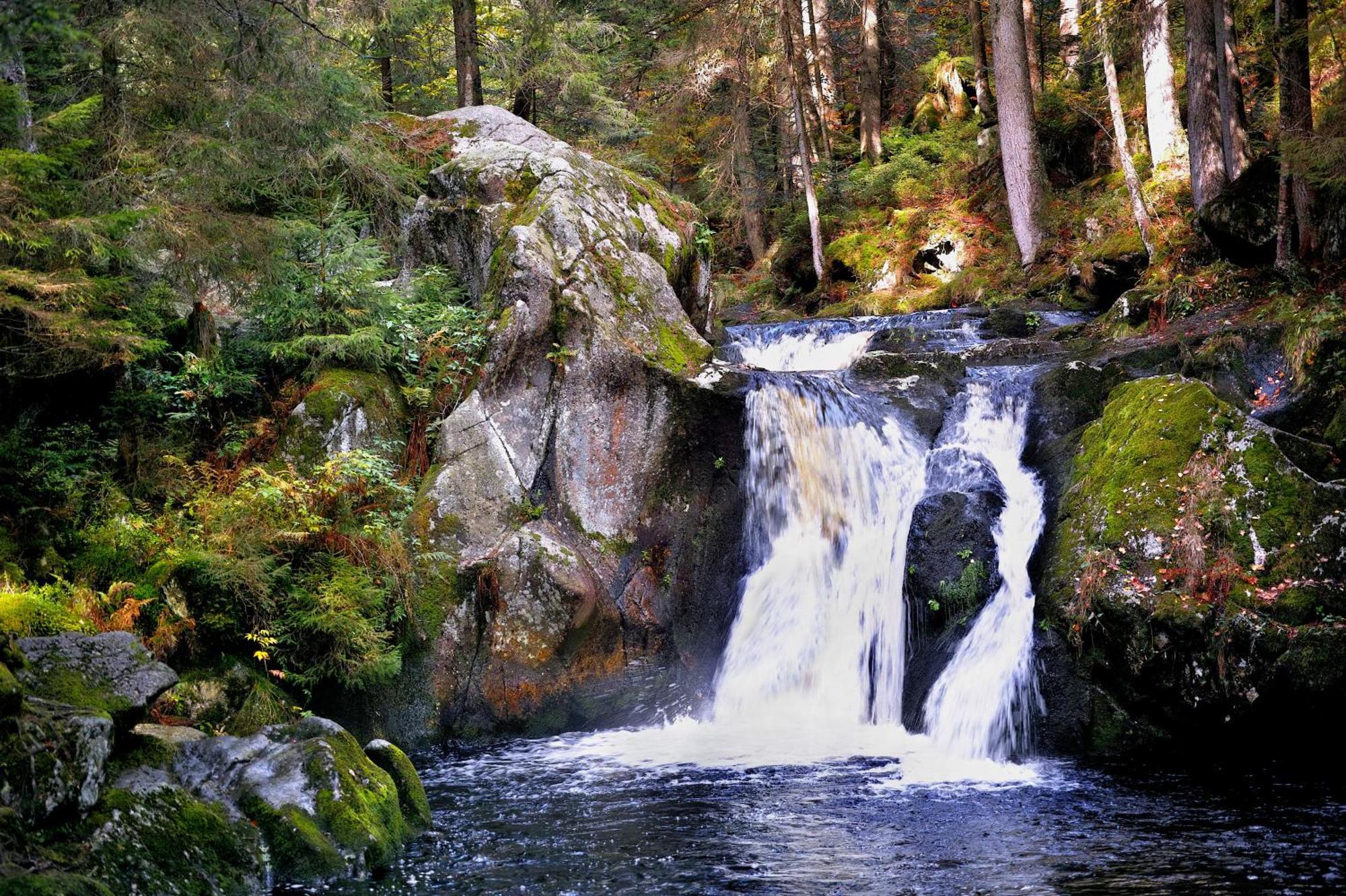 Naturidyll Am Fluss - Ferienhaus Albmatte - Grosser Garten Zum Grillen Und Entspannen-Direkt Neben Dem Radon Revitalbad Mit Sauna Und Thermalbecken St. Blasien Buitenkant foto