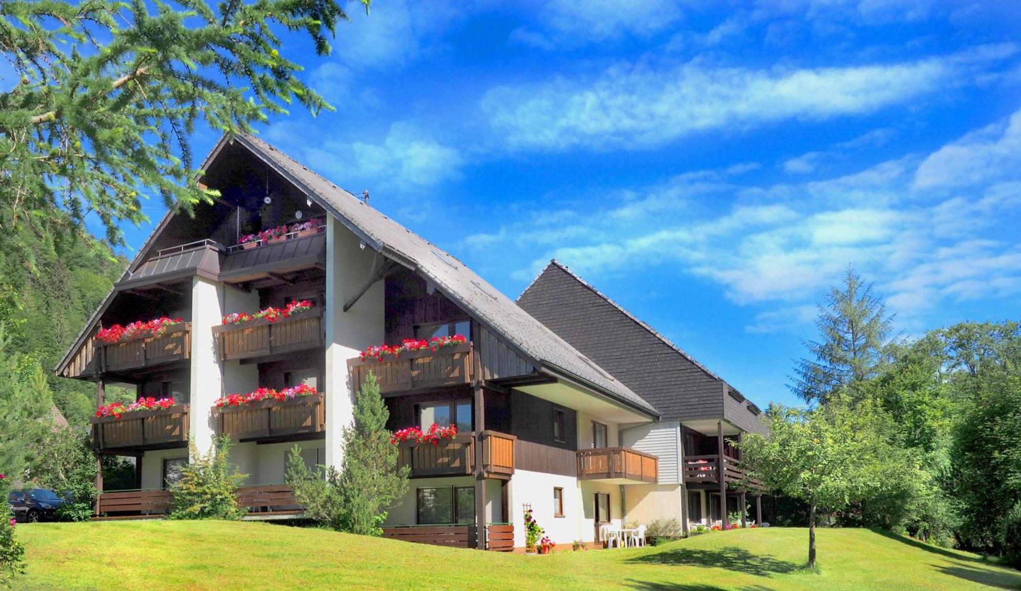 Naturidyll Am Fluss - Ferienhaus Albmatte - Grosser Garten Zum Grillen Und Entspannen-Direkt Neben Dem Radon Revitalbad Mit Sauna Und Thermalbecken St. Blasien Buitenkant foto