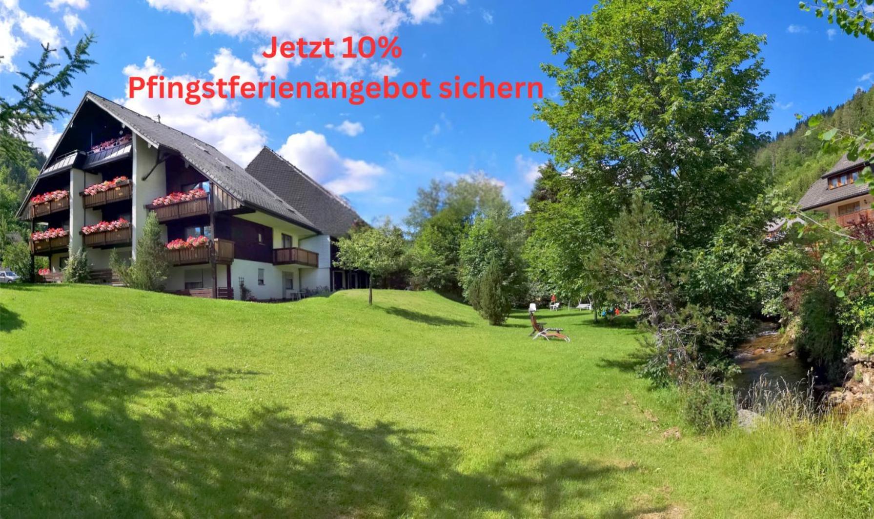 Naturidyll Am Fluss - Ferienhaus Albmatte - Grosser Garten Zum Grillen Und Entspannen-Direkt Neben Dem Radon Revitalbad Mit Sauna Und Thermalbecken St. Blasien Buitenkant foto
